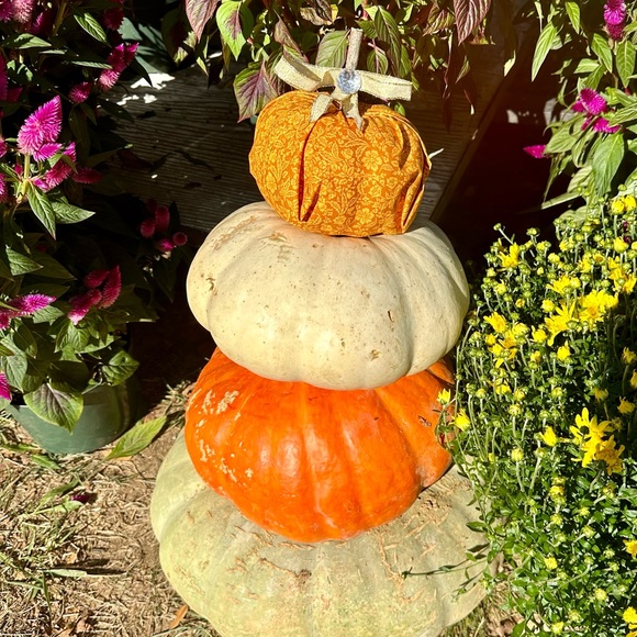 Pumpkin Decor - Picture 9 of 12